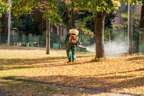 Best Pest Control Near Me in Weleetka, OK
